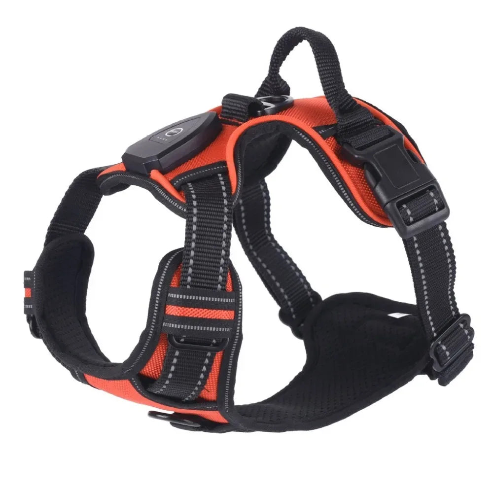 רתמה זוהרת LED לכלבים - רתמת חזה נטענת לטיולי לילה בטוחים - מוצרים חובה לחיות מחמד 