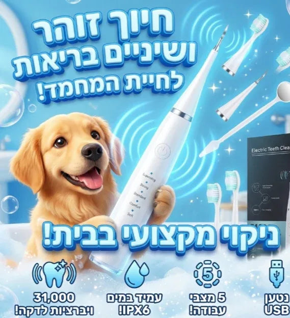 מברשת שיניים אולטרסונית לכלבים - הסרת אבנית והלבנת שיניים - מוצרים חובה לחיות מחמד 
